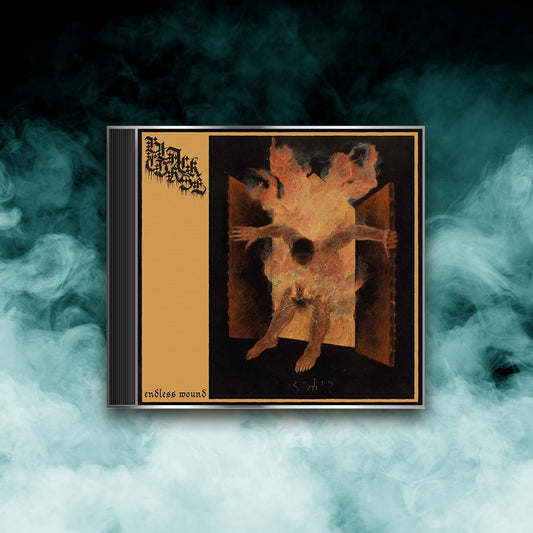 Black Curse - Endless Wound (CD)