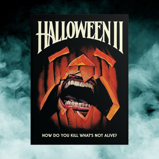 Halloween 2 Horror Movie 18x24 Matte Poster (Merch)