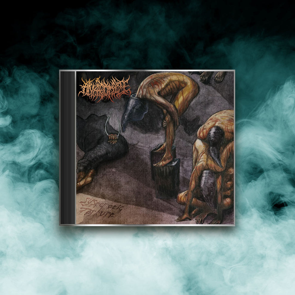 Anatomize - Systematic Torture (CD) – Iron Fortress Records & Distro