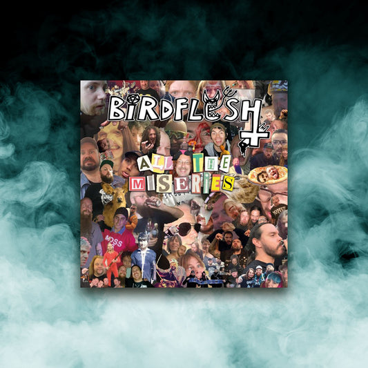 Birdflesh - All the Miseries (12" Vinyl)