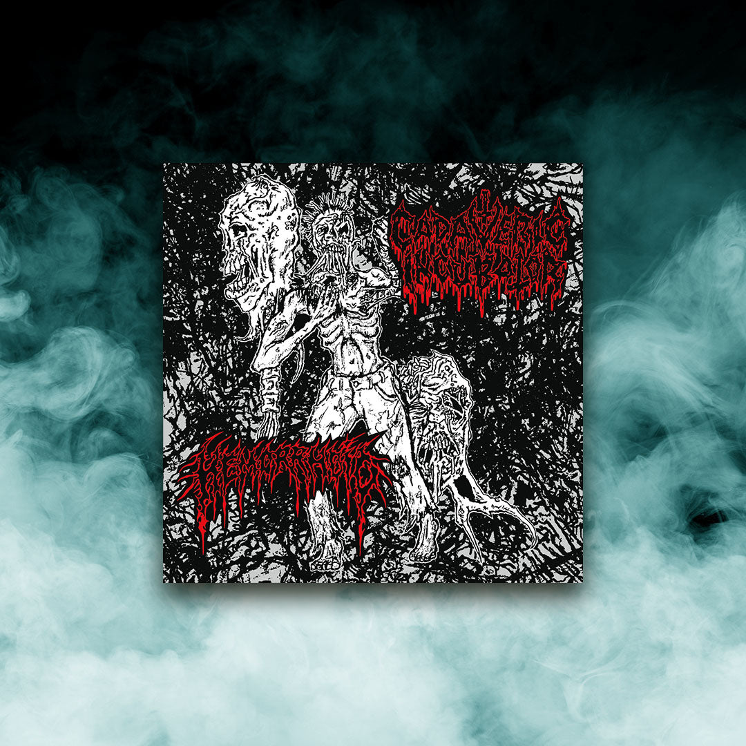 Cadaveric Incubator / Hemorrhoid - Split (7" vinyl)