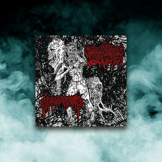 Cadaveric Incubator / Hemorrhoid - Split (7" vinyl)