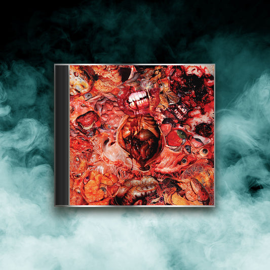 FesterDecay - From Demo To Rot (CD)