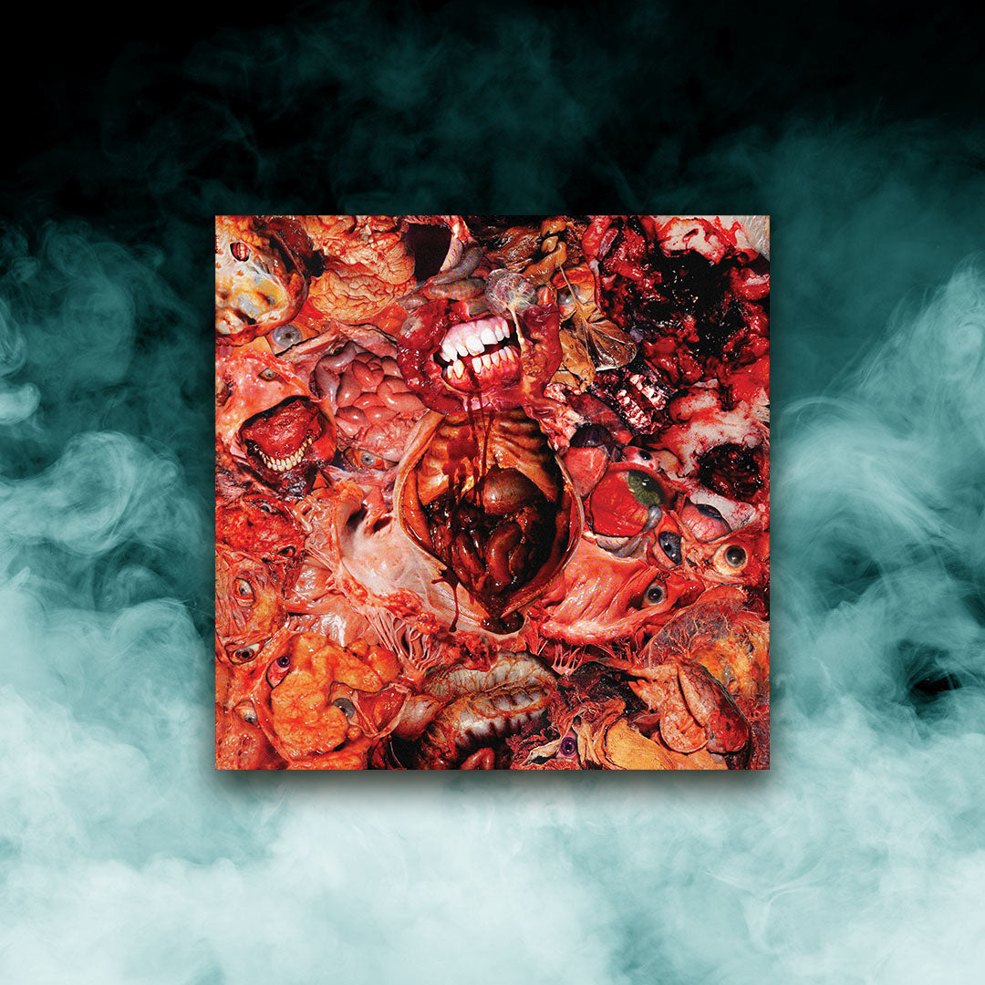 FesterDecay - From Demo To Rot (12" Vinyl)