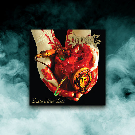 Impaled - Death After Life (12" Vinyl)
