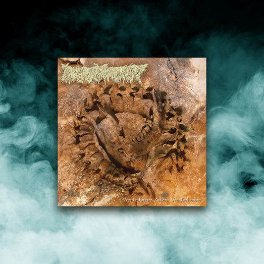 Pharmacist - Vertebrae After Vertebrae (12" Vinyl)