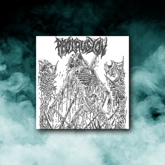 Protrusion - Demo 2023 (10" vinyl)