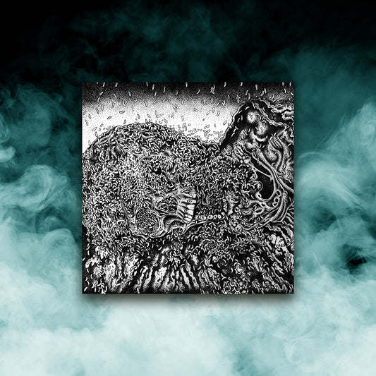 Putrefaction Sets-In/FesterDecay - Split (12" Vinyl)