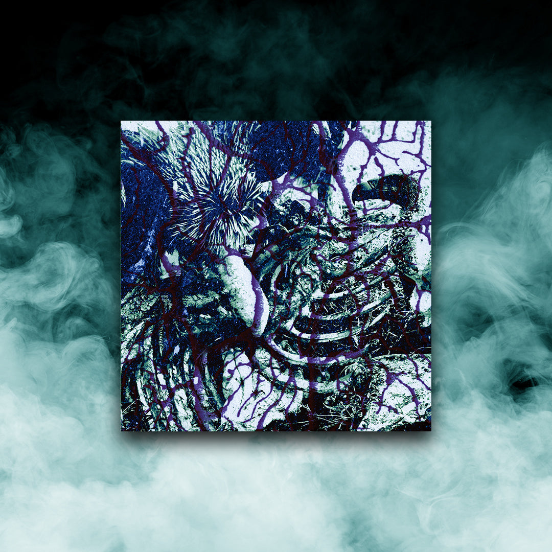 Torturer's Lobby - Deadend Nerves (12" Vinyl)