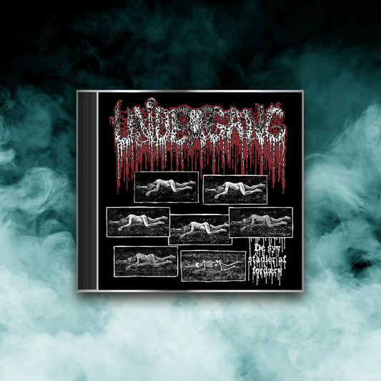 Undergang - De Syv Stadier af Fordærv (CD)