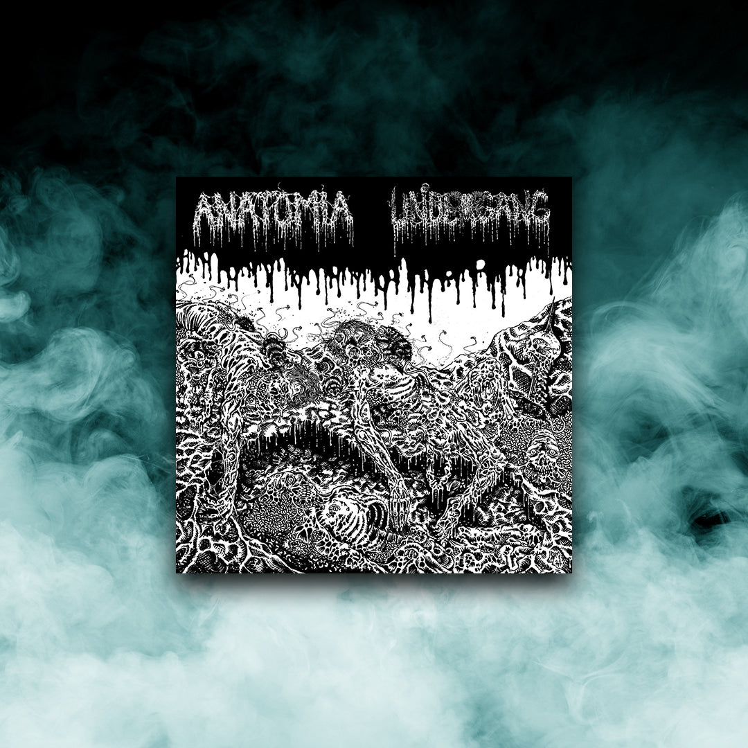 Shop All – Iron Fortress Records & Distro